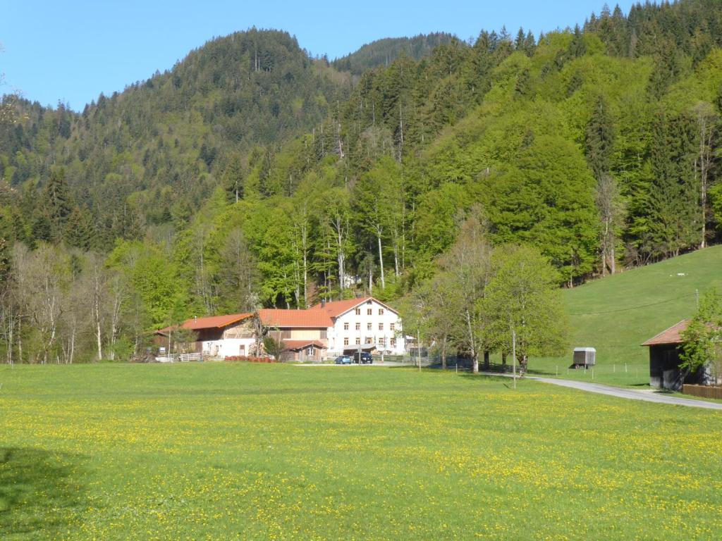 ein großes Grasfeld mit einem Haus im Hintergrund in der Unterkunft Gasthof Fallmühle in Pfronten
