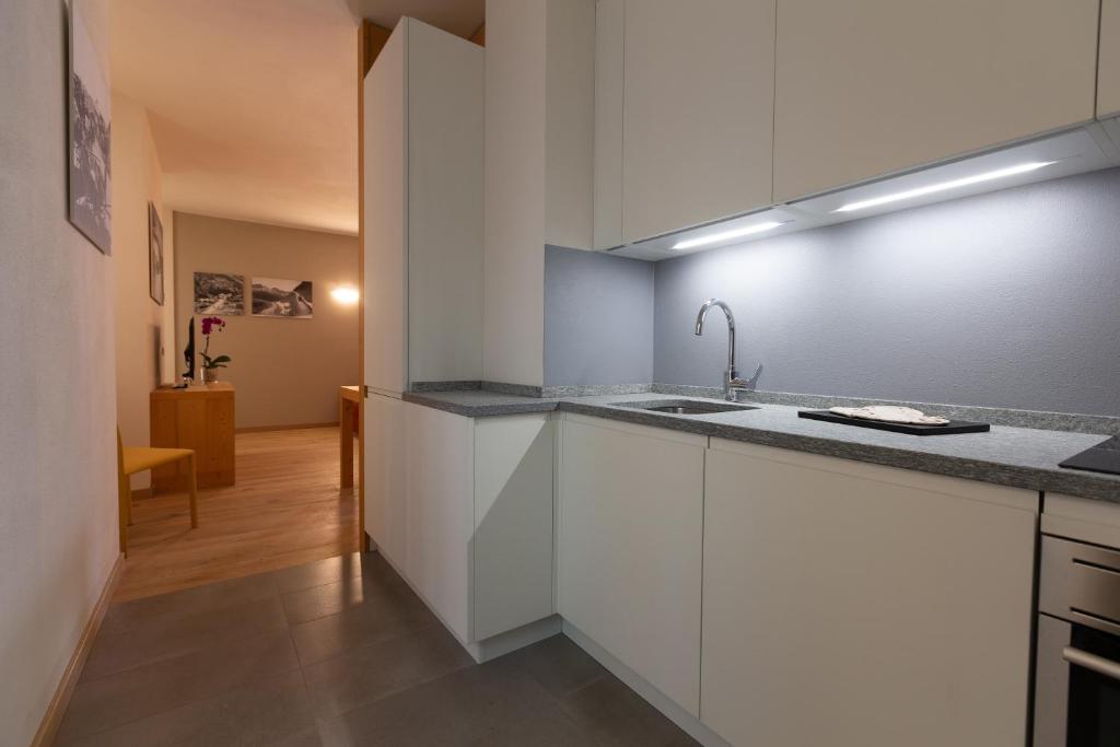 Kuchyň nebo kuchyňský kout v ubytování HOTEL AD Residence