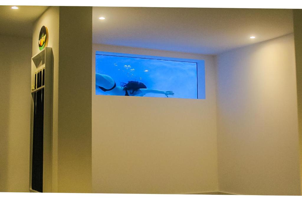 un chat dans un aquarium sur un mur dans l'établissement A&M House II Luxury Holidays Home, à Arco da Calheta