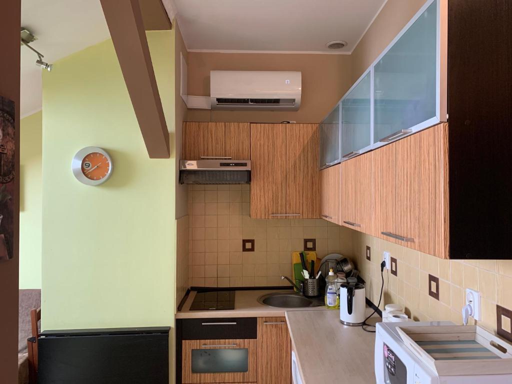 a small kitchen with wooden cabinets and a sink at Apartamenty w Stegnie in Stegna
