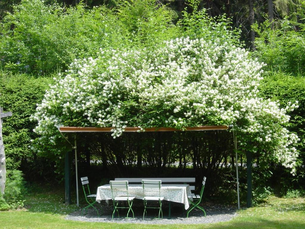 Zahrada ubytování Hotel Barbara