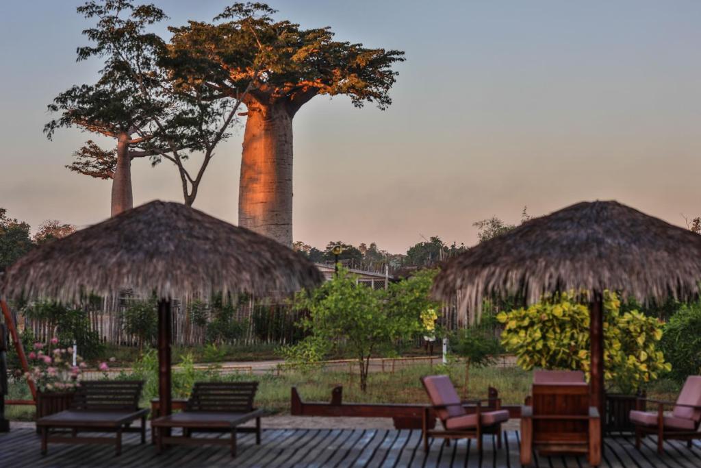 Jardin de l'établissement RELAIS DU KIRINDY