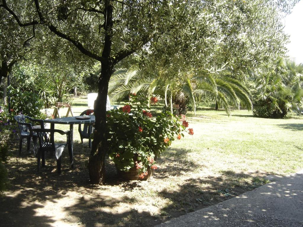 un tavolo e sedie sotto un albero in un parco di Il Boschetto a Porto SantʼElpidio