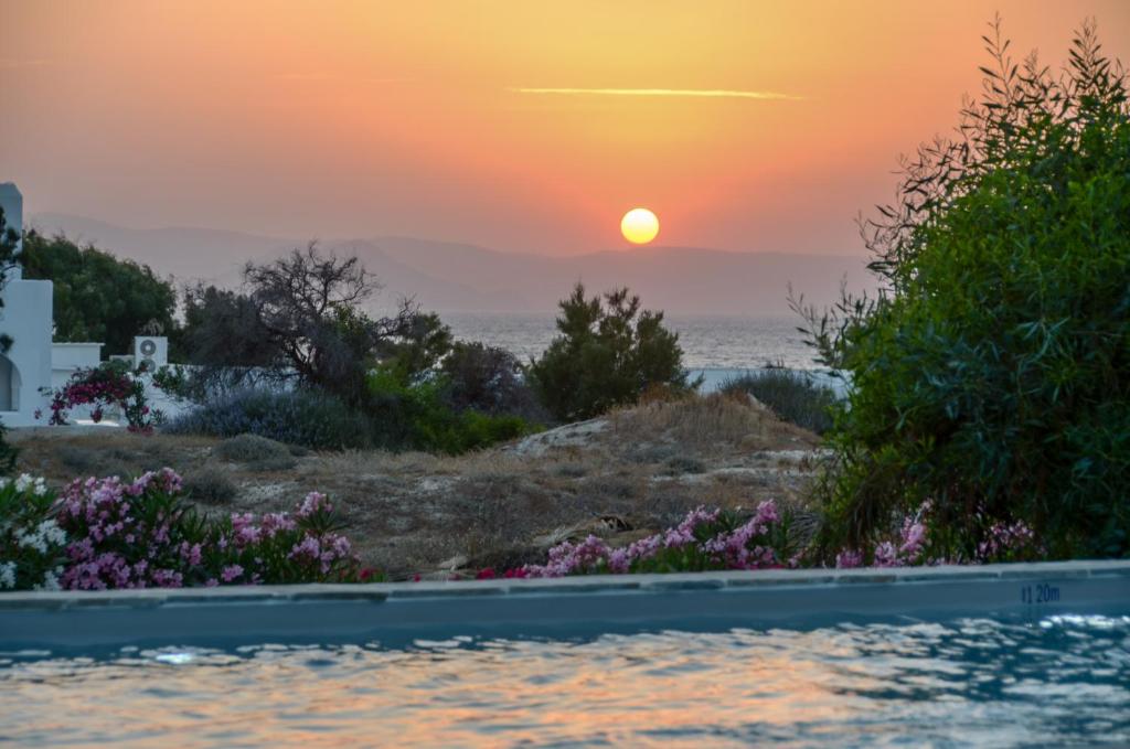 a sunset over the ocean from a swimming pool at Sea & Wind in Mikri Vigla