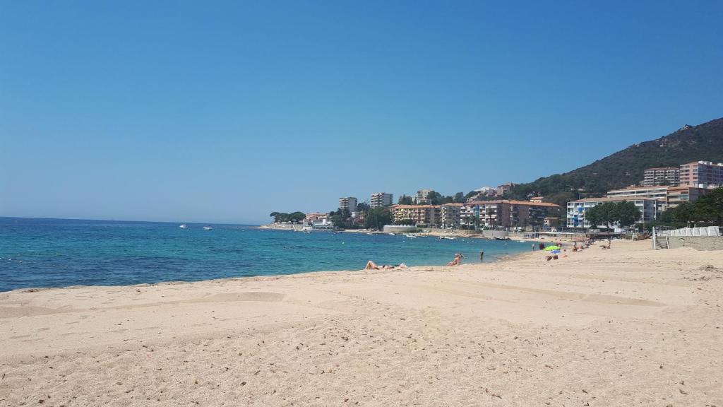 un groupe de personnes sur une plage près de l'eau dans l'établissement Casone Centre-ville, vue mer, à Ajaccio
