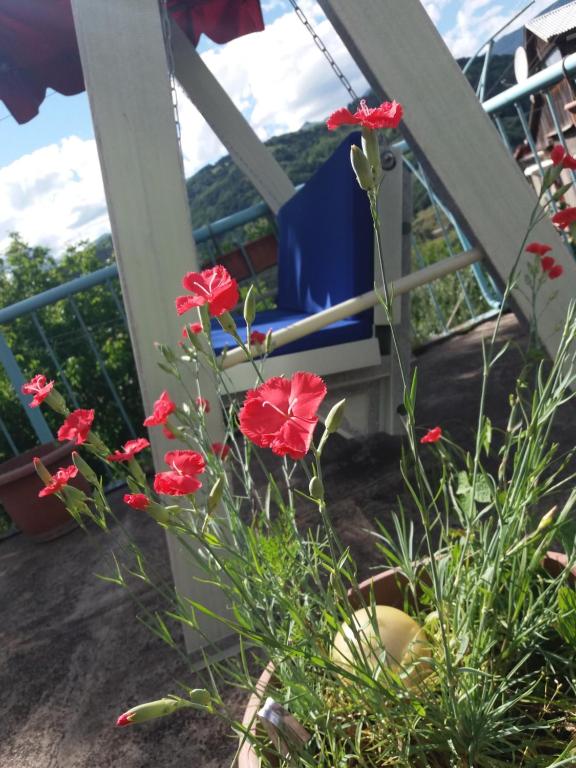 Zahrada ubytování Sweet Home