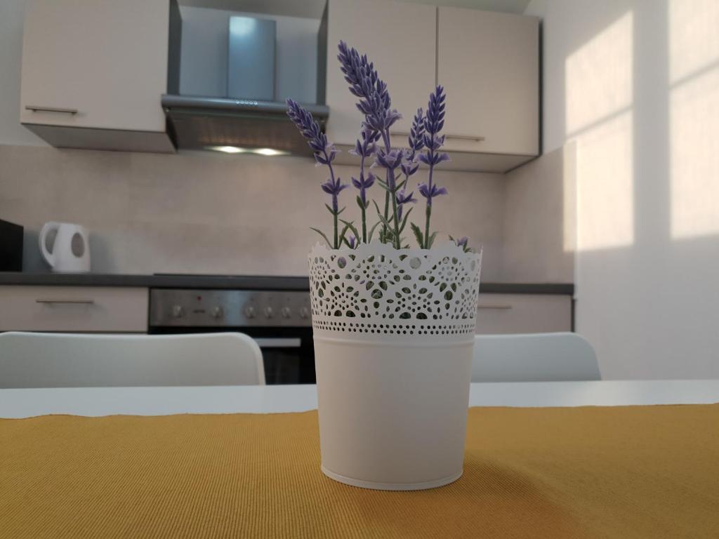 Kuchyň nebo kuchyňský kout v ubytování Endless Horizont Apartment