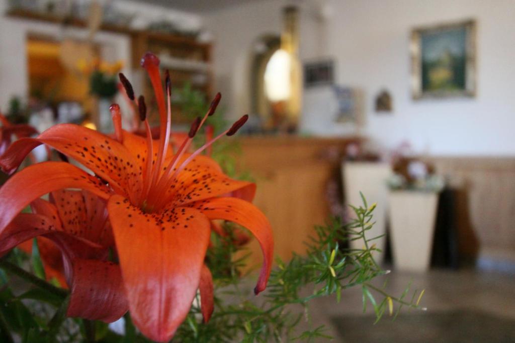 Fotografie z fotogalerie ubytování Naturhotel Miraval v destinaci Perca