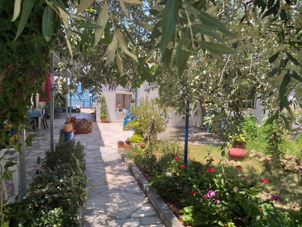 Zahrada ubytování Sea View Bungalows