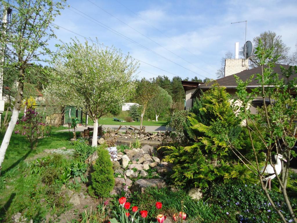 a garden with flowers and plants in front of a house at Homestay Roja in Vilnius