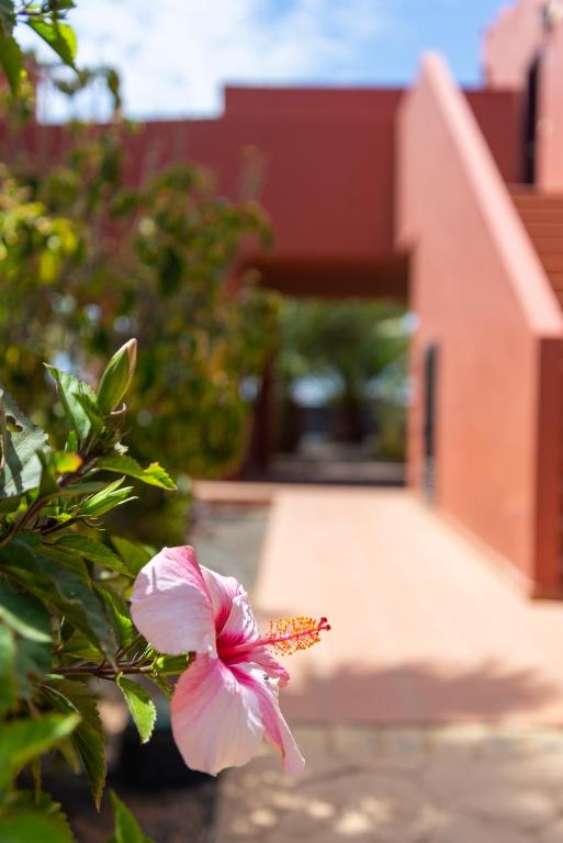 Fotografie z fotogalerie ubytování Blu Gardenia v destinaci Corralejo