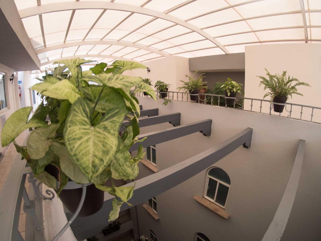 Fotografie z fotogalerie ubytování Hotel Qualitel Plus v destinaci Morelia