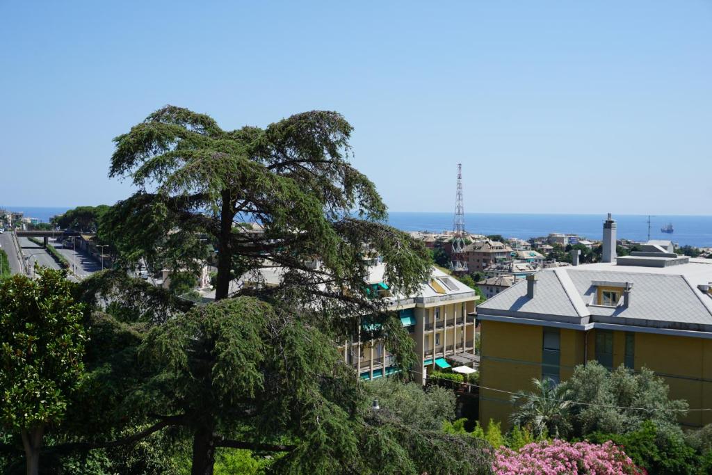 a view of a city with a palm tree at Appartamento Villa Cristina in Genoa