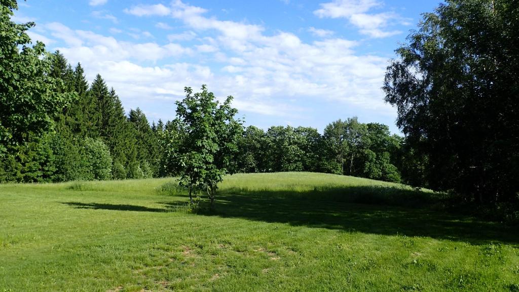 Příroda nedaleko apartmánu