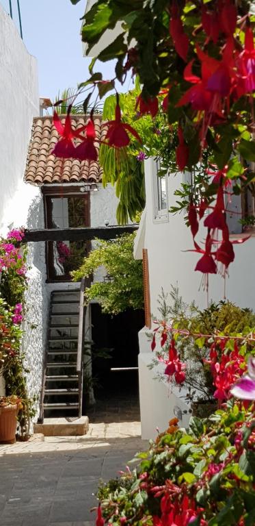 un edificio blanco con flores delante en Elescondite en Sauzal