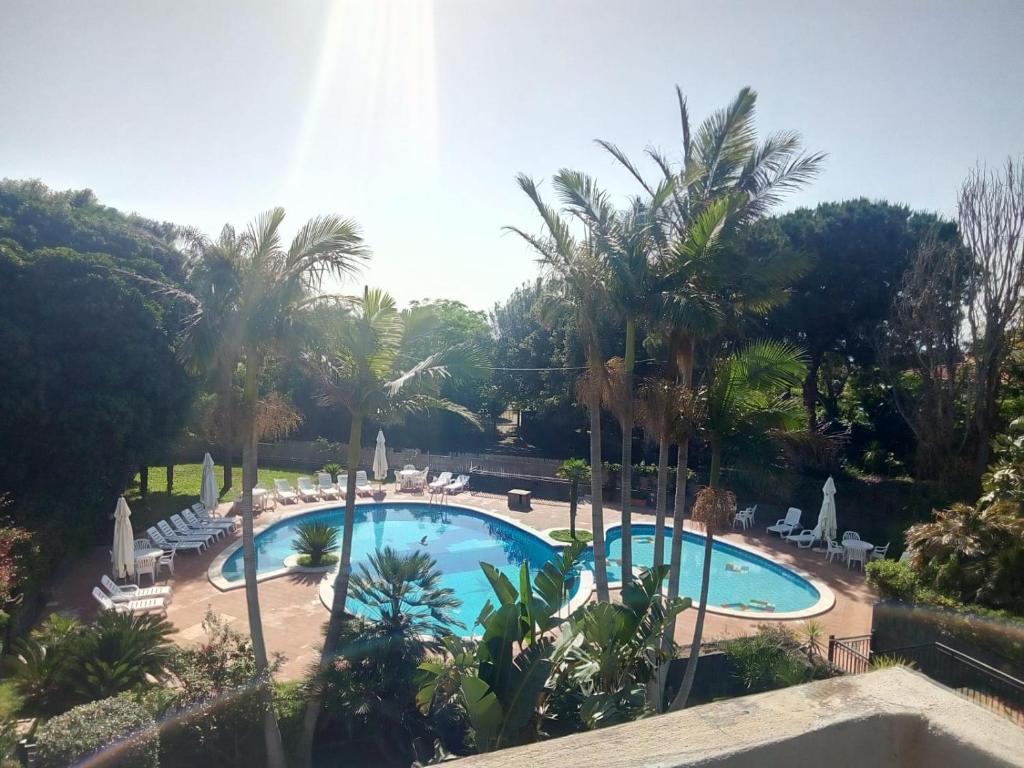 una vista aérea de una piscina con palmeras en Serena Mulinia Garden en Acireale
