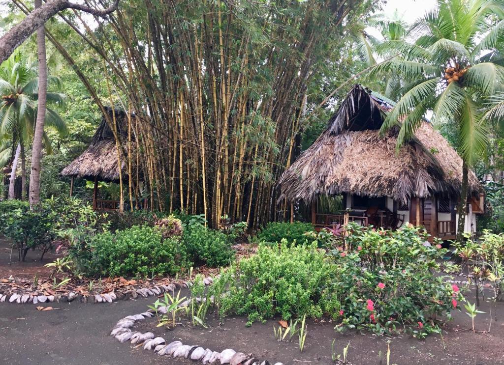 Zahrada ubytování Cabinas Los Cocos