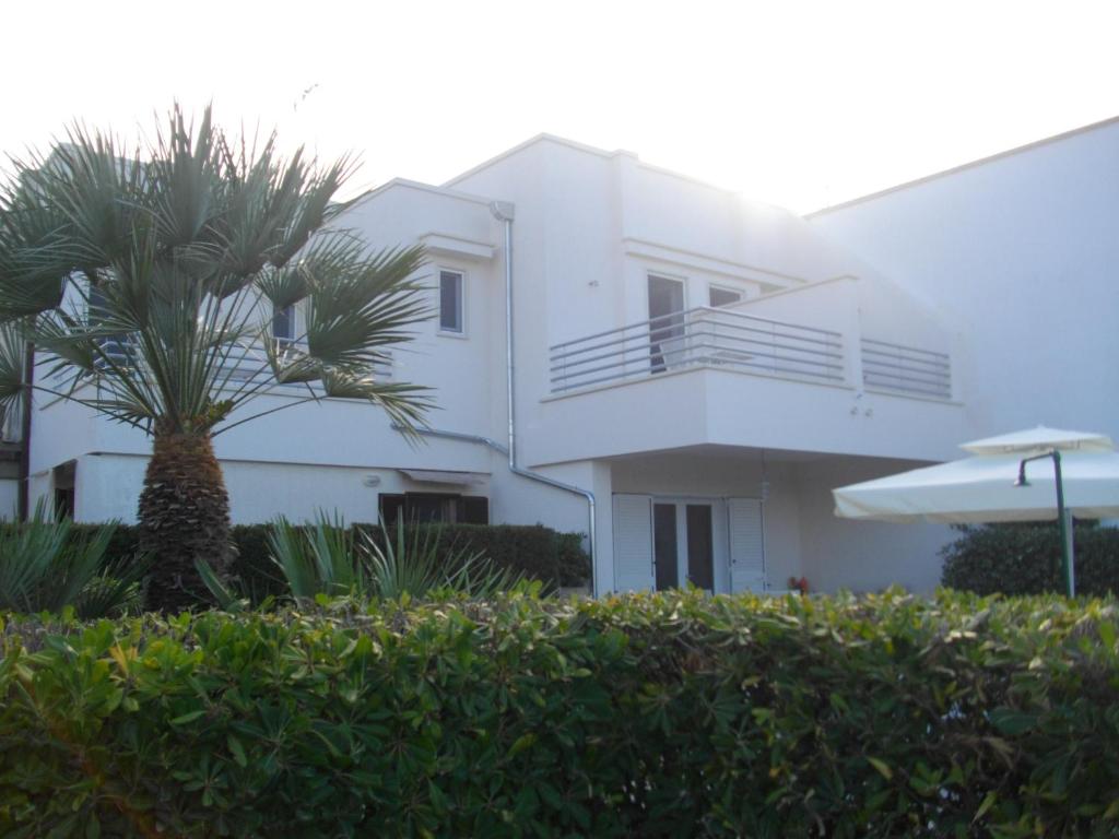 a white house with a palm tree in front of it at B&B Villa Cinzia in Torre Santa Sabina