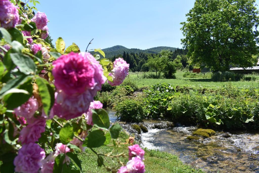 Príroda v okolí of the country house