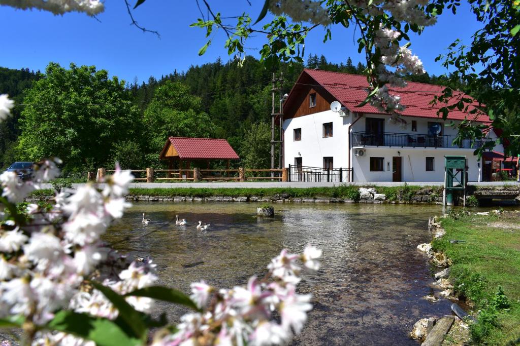 un fiume con anatre di fronte a un edificio di Plitvice Panta Rei a Laghi di Plitvice