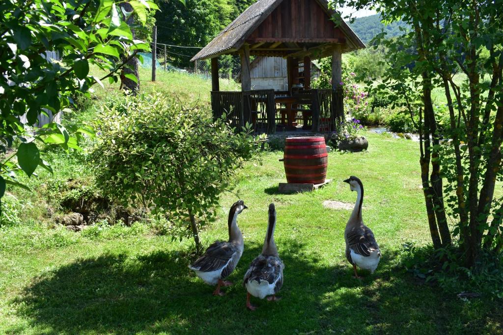 Vonkajšia záhrada v ubytovaní Plitvice Panta Rei