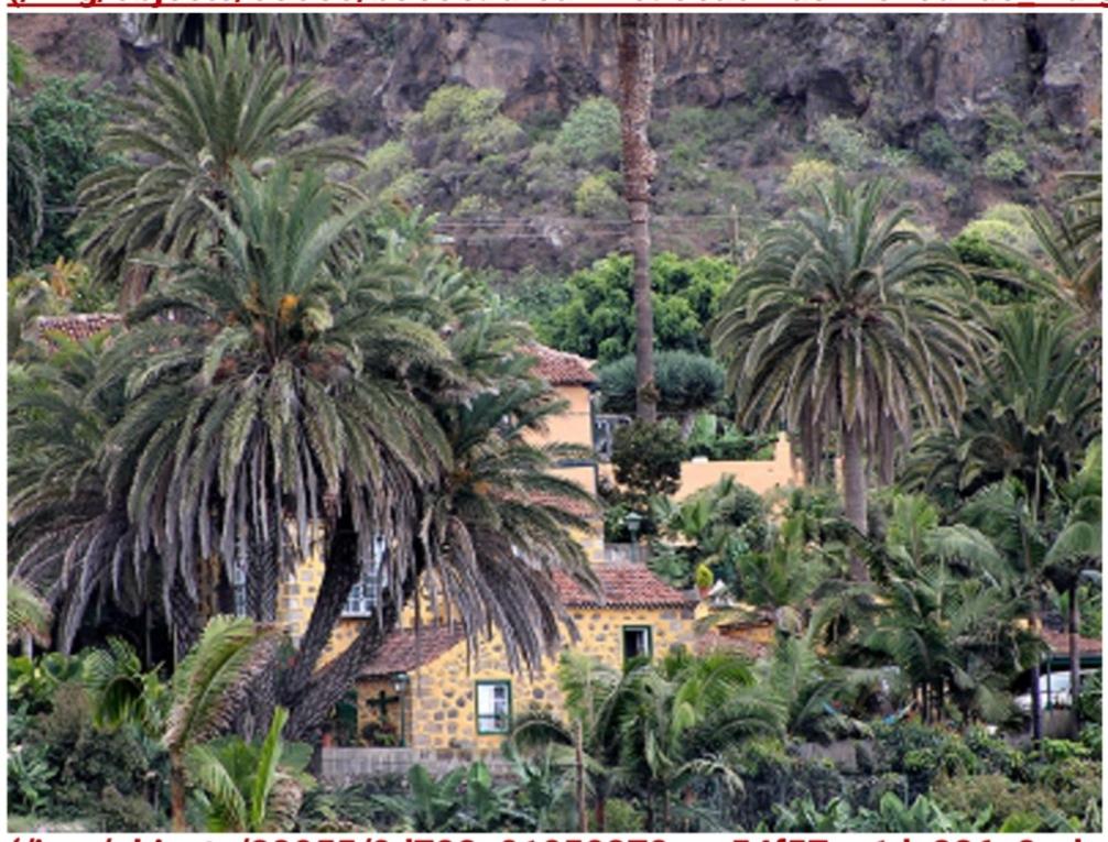 a house with palm trees in front of a mountain at Finca Doña Juana in Los Realejos