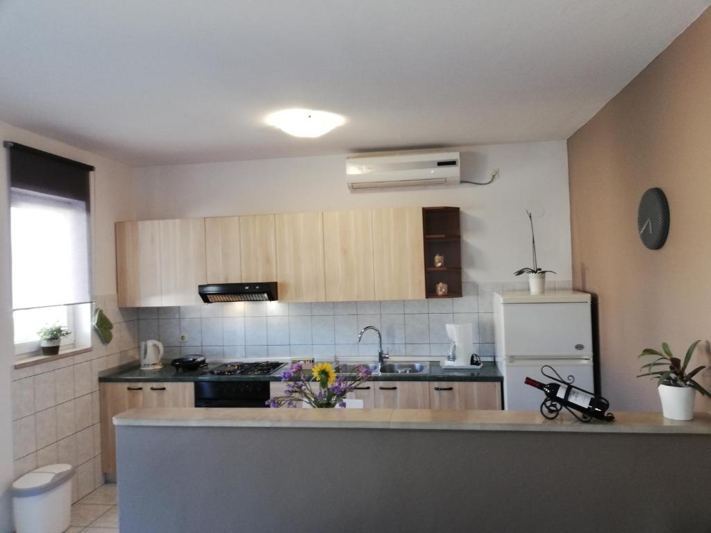 Kuchyň nebo kuchyňský kout v ubytování Apartman Katica