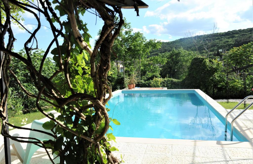 a swimming pool in a garden with a tree at Villa Regina Serafina in Balchik