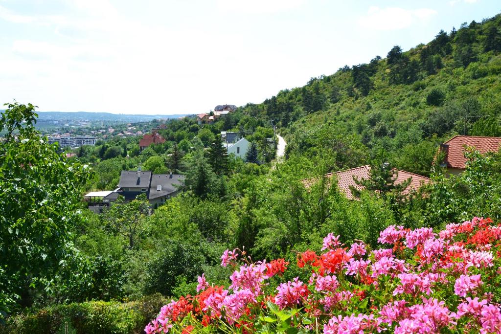Příroda nedaleko apartmánu
