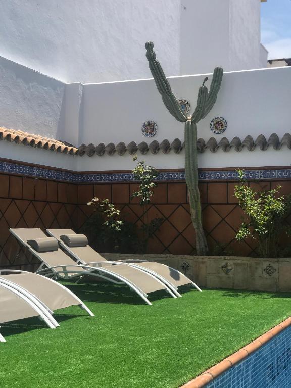 a pool with chairs and a cactus in a yard at ROOMQUEO-Only Adults in Barbate