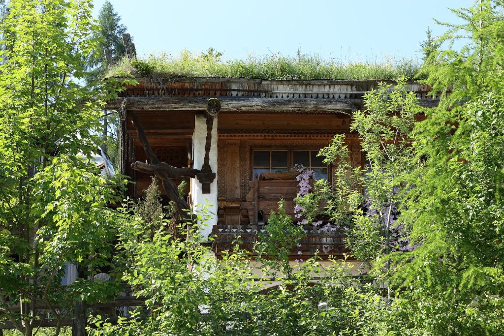 Vonkajšia záhrada v ubytovaní Chalet Alm Planai