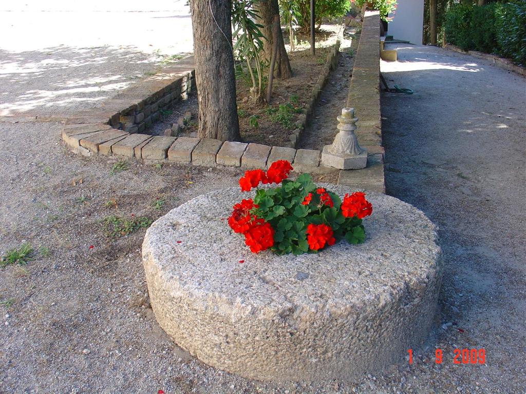 Zdjęcie z galerii obiektu Fattoria Casanova w mieście Palaia