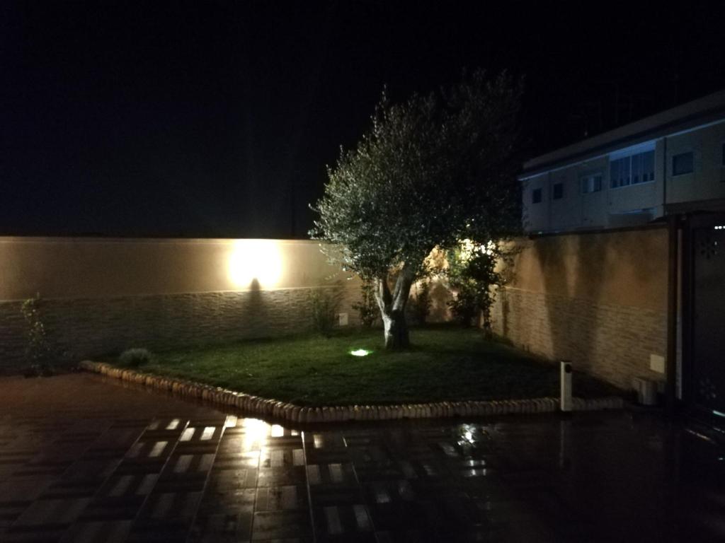 Сад в B&B Villa Venere