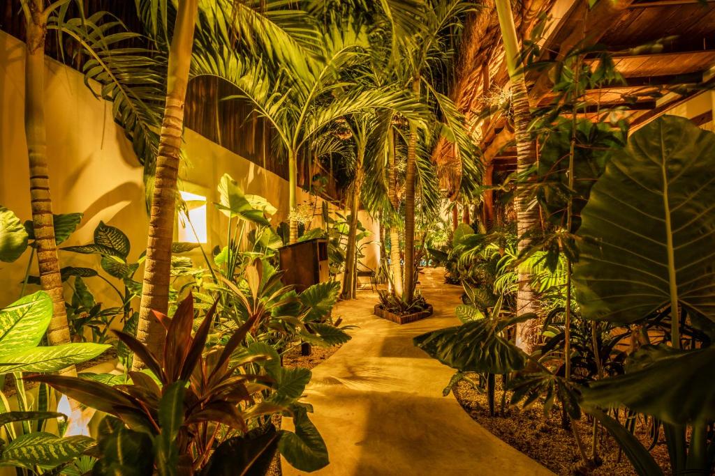 a hallway filled with lots of plants in a building at Hotel Boutique TerraNova in Tulum