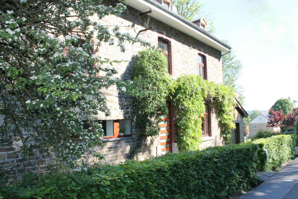 Zahrada ubytování Guesthouse Legrand