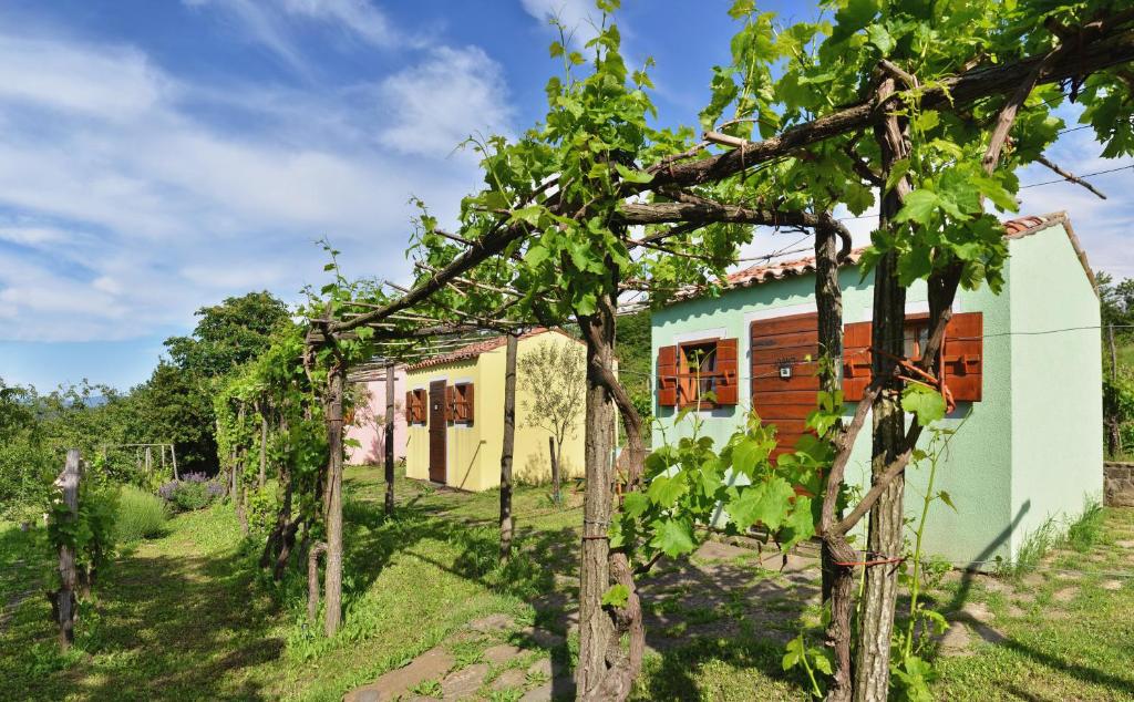 a house in a vineyard with trees at Glamping Green Istria Tiny Houses in Truške