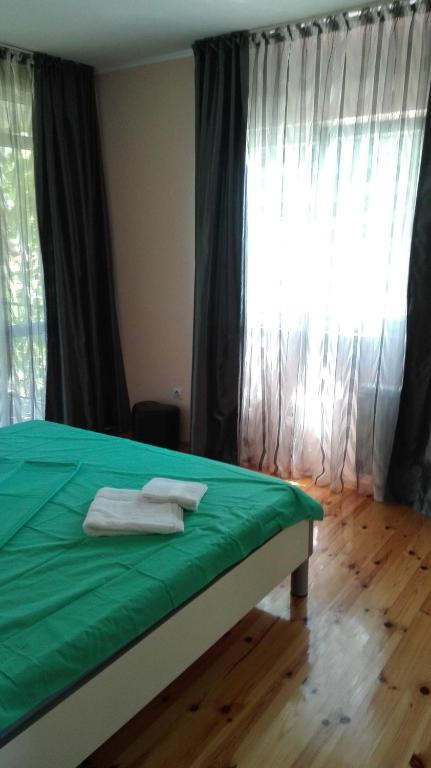 a bedroom with a bed with green sheets and a window at Villa Nadija in Čanj