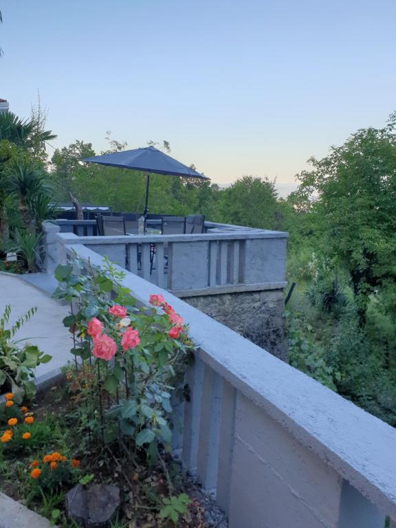 Zahrada ubytování Villa Lella