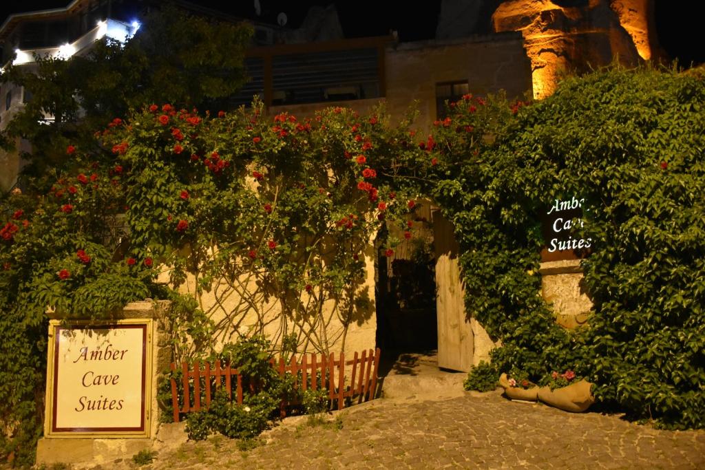 Zahrada ubytování Amber Cave Suites
