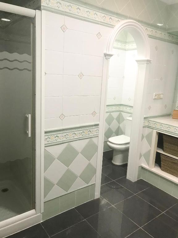 a bathroom with a shower and a toilet at ROOMQUEO-Only Adults in Barbate