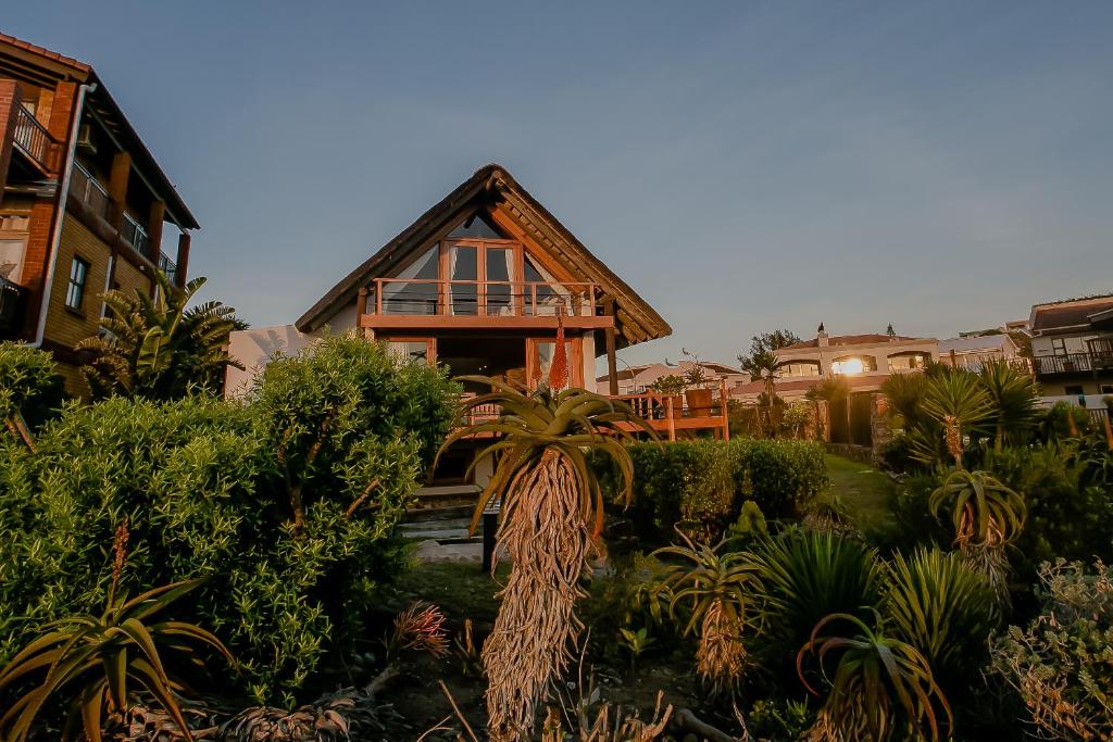 een huis met een palmboom ervoor bij Dreamland Beach House & Studios at Supertubes in Jeffreys Bay