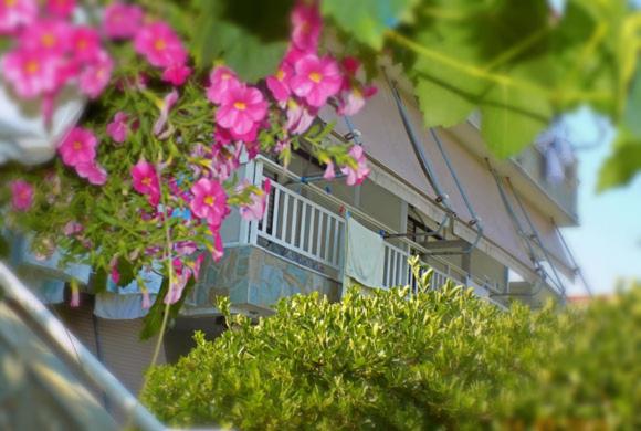 budynek z różowymi kwiatami na boku w obiekcie DIALEKTI STUDIOS w mieście Torone