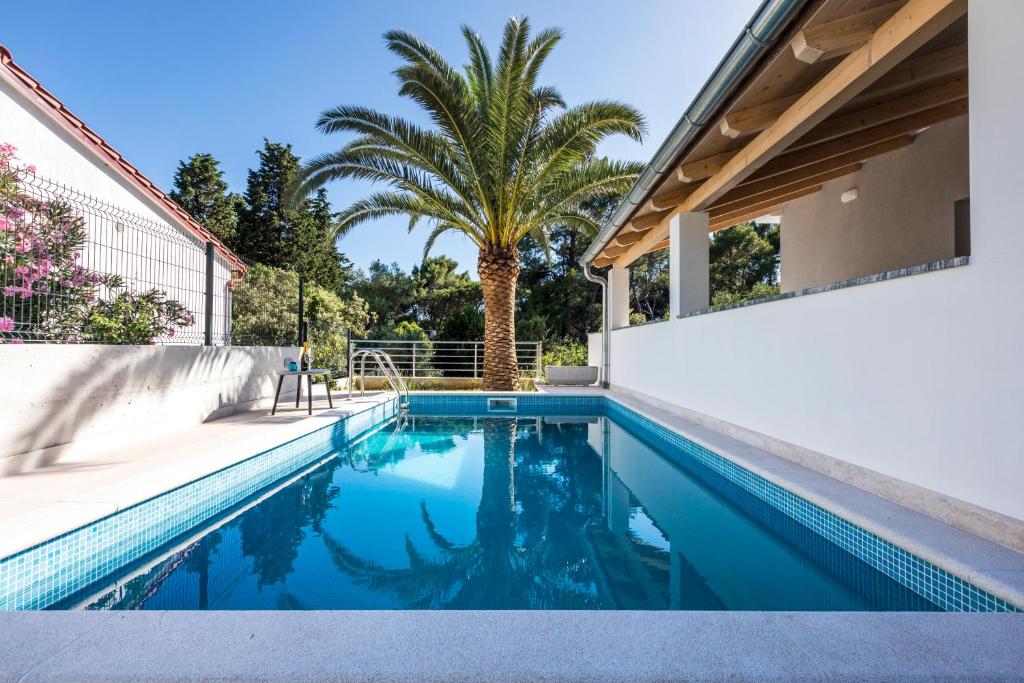 een zwembad in de achtertuin van een huis met een palmboom bij Villa Artaturi in Mali Lošinj