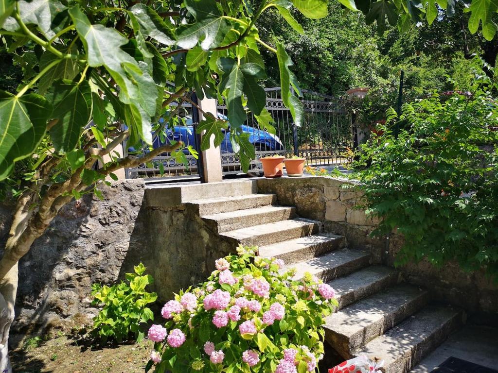Apartment Majstorina - Holiday Home