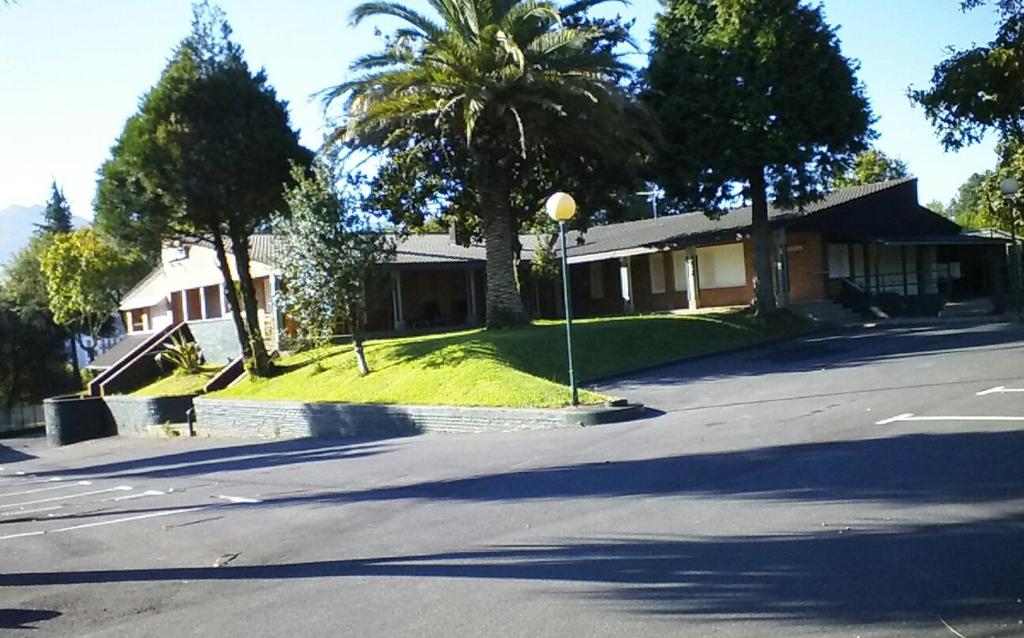 a house with a palm tree and a street at Ler- Argi in Urnieta