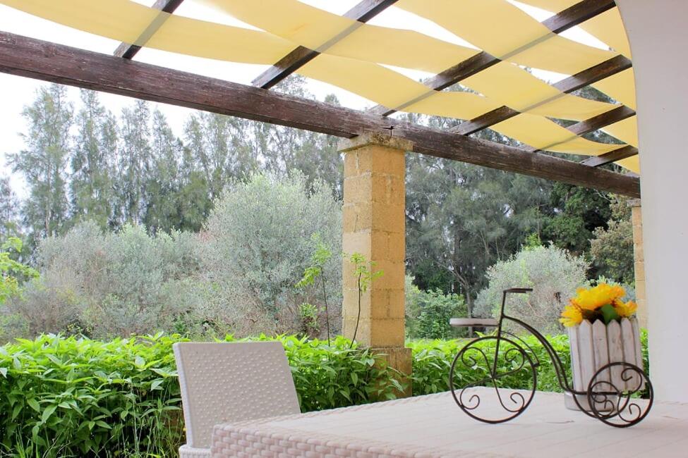 Zahrada ubytování Agriturismo Capani