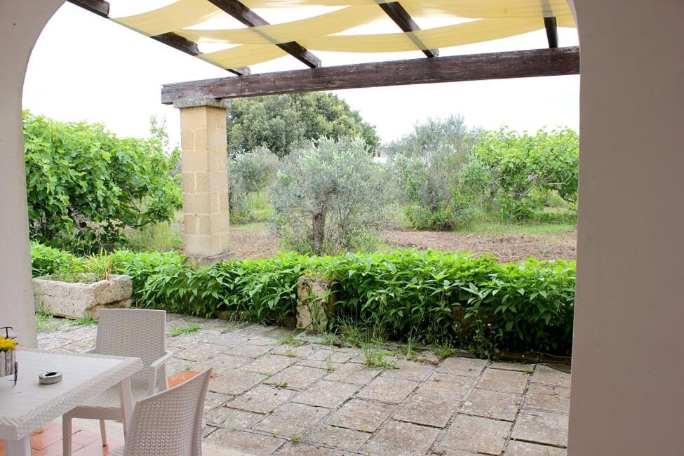 Zahrada ubytování Agriturismo Capani