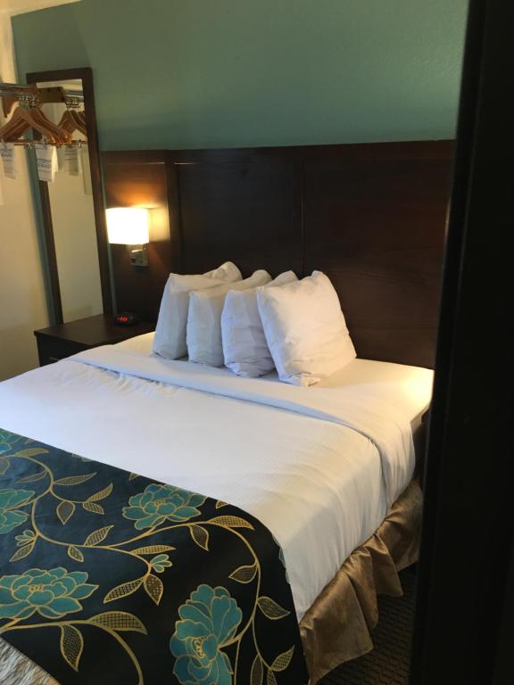 Baymont by Wyndham Keystone Near Mt. Rushmore - Habitación Con Cama Grande - No Fumadores