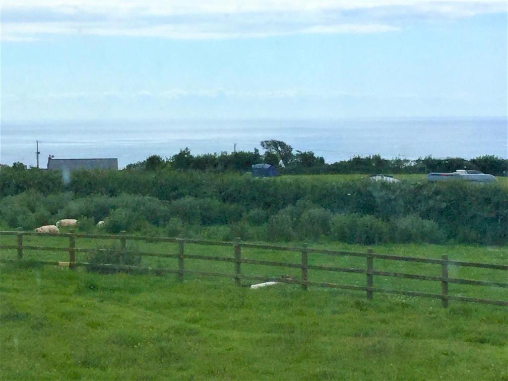 a fence in a field with sheep in the distance at The Burrows Bed and Breakfast in Pembroke