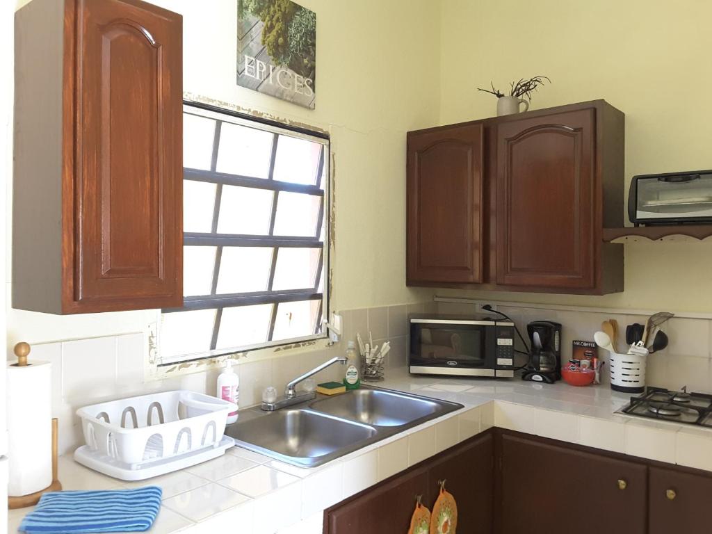 a kitchen with a sink and a microwave at SXM Spotters Paradise in Lowlands